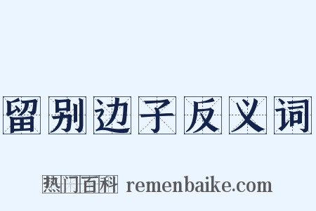 留别边子反义词是什么意思的图片